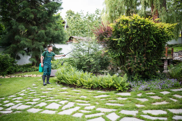 Best Pest Prevention Services  in , IN