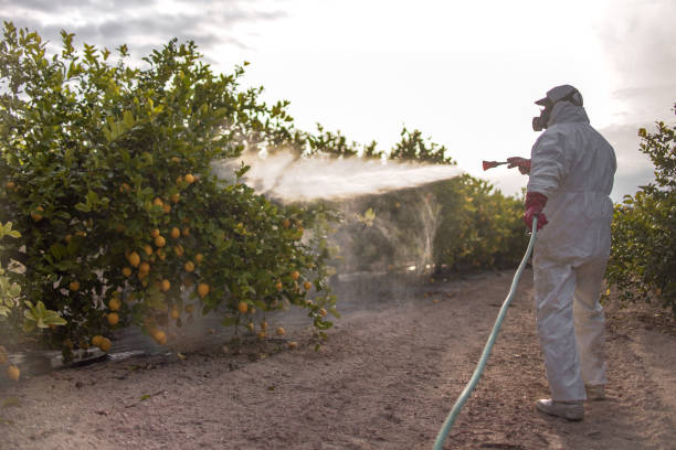 Best Cockroach Control Services  in , IN