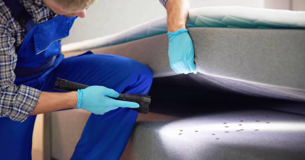 Best Affordable Pest Control Services  in , IN