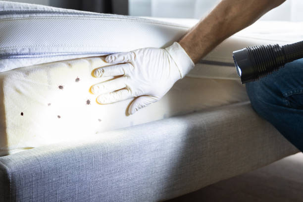Best Local Pest Control Services  in , IN