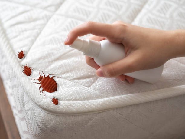 Best Cockroach Control Services  in , IN